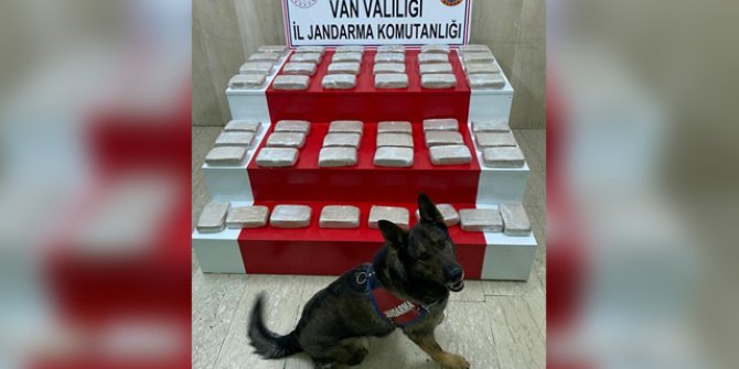 Evdeki 51 kilo eroini narkotik köpeği 'İbre' buldu
