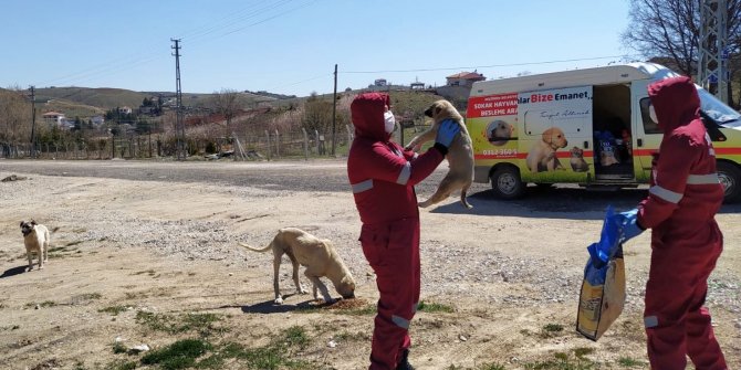 Hayvanları besleme timi kuruldu