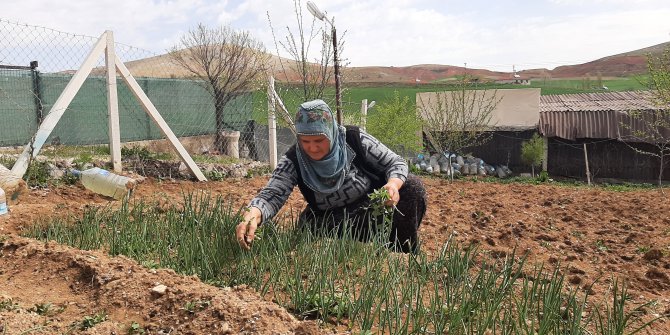 Başkentliler yasak öncesi soluğu bahçe evlerinde aldılar