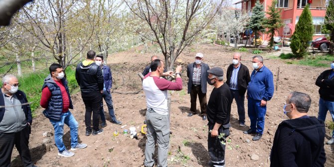 Çiftçi ve üreticilere budama ve aşılama eğitimi