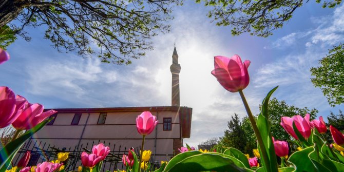 Altındağ'a rengarenk laleler dikildi