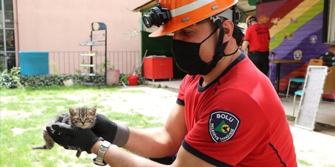 Bolu'da büfenin çatısında sıkışan 3 yavru kedi cep telefonundan açılan kedi sesiyle kurtarıldı