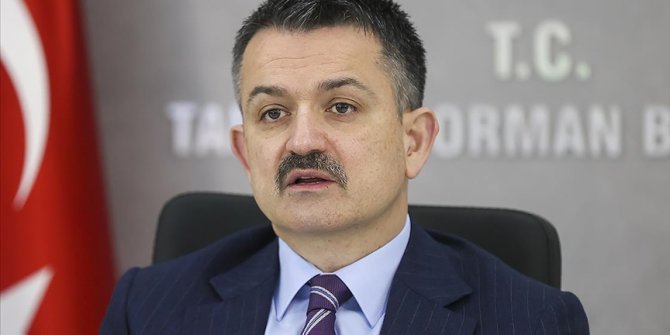 Bakan Pakdemirli: Yılda 5,5 milyon balon balığı için 5 milyon lira ödeme yapmayı hedefliyoruz