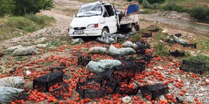 Adıyaman’da kamyonet şarampole devrildi: 2 yaralı