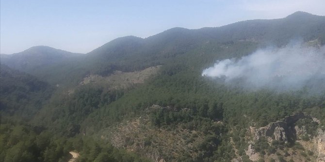 Muğla'nın Ortaca ilçesinde orman yangını başladı