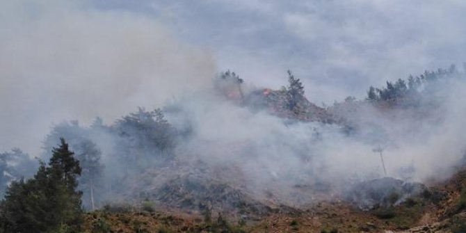 Osmaniye'deki orman yangınında 5 hektarlık alan zarar gördü