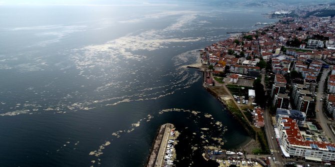 Deniz salyasıyla kaplanan Mudanya Yat Limanı, havadan görüntülendi