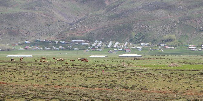 Bingöl'de foseptikte parçalanmış ceset bulundu