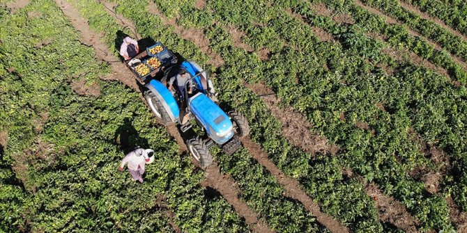 Üreticilere bayram öncesinde 1,5 milyar liradan fazla destek ödemesi yapılacak