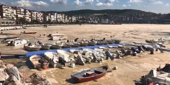 'Gemlik Körfezi'ndeki salya oluşumunun nedeni evsel atıklar ve sıcaklık değişimi'