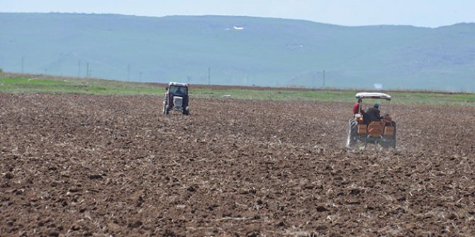 Erzurum tarımında kuraklık endişesi