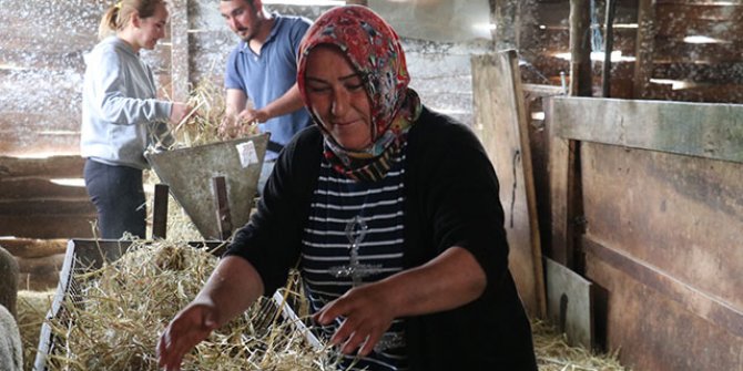 Eşini kaybeden anne, çobanlık yaparak kızını okutuyor