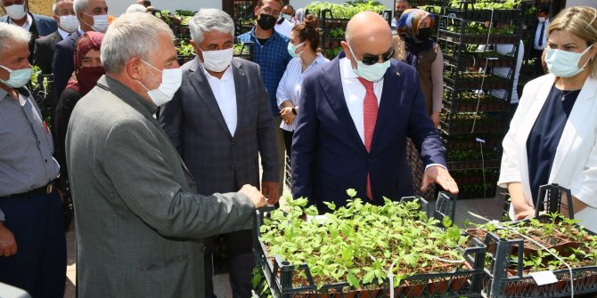 Çiftçilere ücretsiz sebze fidesi dağıtımına başlandı