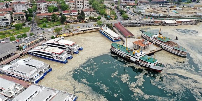 Çevre ve Şehircilik Bakanlığından 'deniz salyası'na karşı kıyılarda sıkı denetim