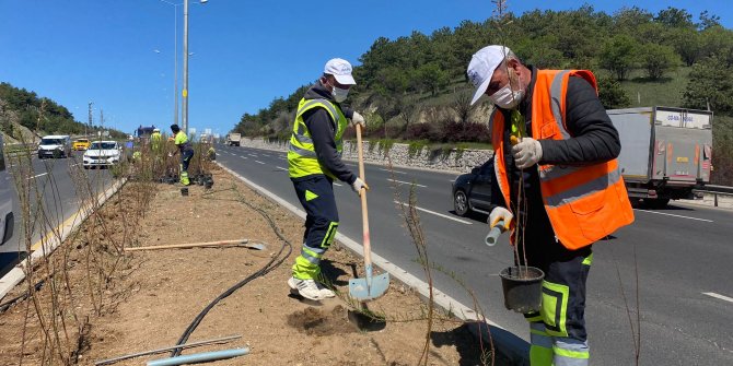 Başkent'te peyzaj ve temizlik çalışmaları hız kesmeden sürüyor