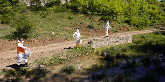 Doğa dostu larvasit uygulama