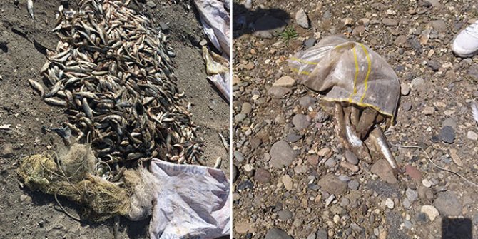 Kaçak 500 kilo inci kefali avlayan 14 kişiye, 26 bin TL ceza