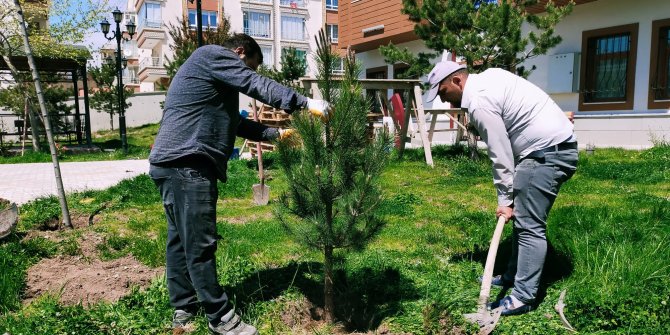 Ağaçlandırma seferberliğinde vatandaş ve belediye işbirliği