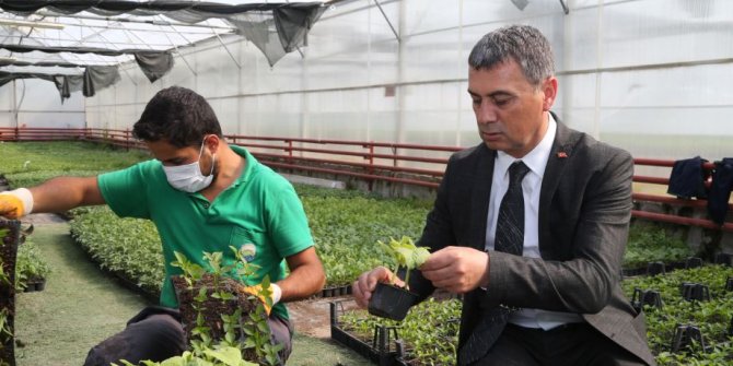 Unutulmaya yüz tutmuş gelenek yeniden canlandırılıyor