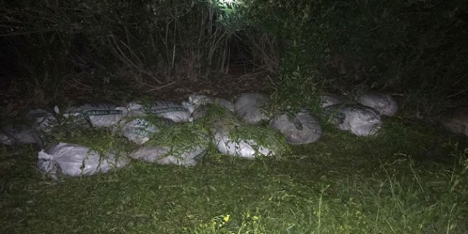 Van'da kaçak avlanan 1 ton 750 kilo inci kefali ele geçirildi