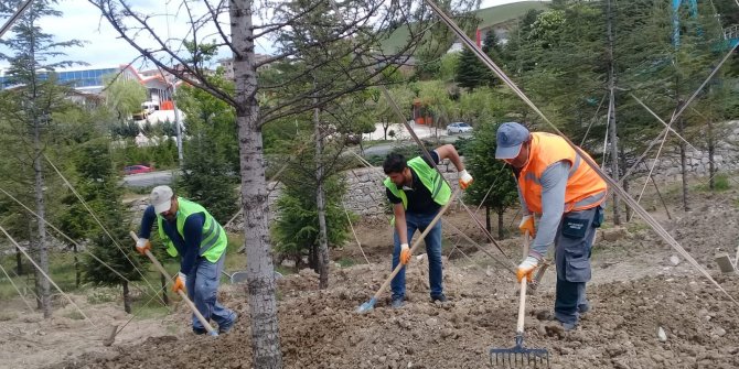 Pursaklar yeşile bürünüyor