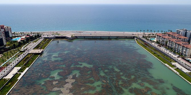 Konyaaltı plajına dökülen Boğaçayı yosunla kaplandı
