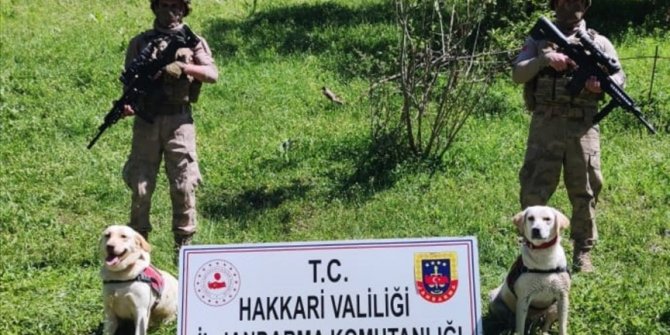 Hakkari'de terör örgütü PKK'ya yönelik operasyonda silah, patlayıcı ve mühimmat ele geçirildi