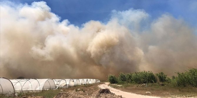 Antalya'da sazlık alanda çıkan yangın kontrol altına alınmaya çalışılıyor