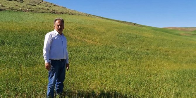 İç Anadolu'da kuraklık hububat üreticilerini endişelendiriyor