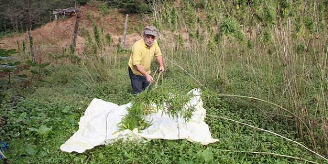 Rize'de kenevir ipliğinden kumaş üretimi yaygınlaşıyor