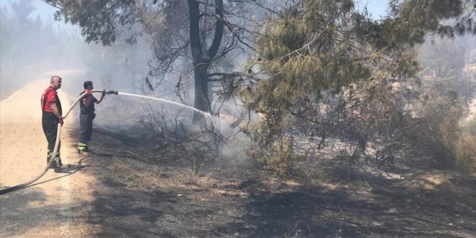 Adana'daki orman yangını kontrol altına alındı