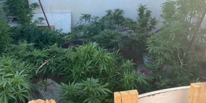 Alanya'da eş zamanlı uyuşturucu operasyonu: 14 gözaltı