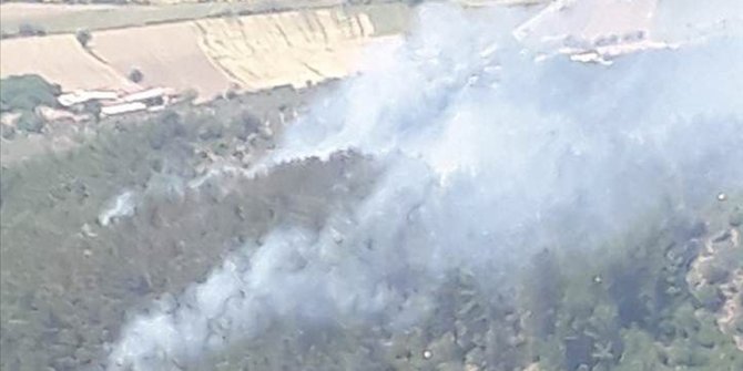 Muğla'da çıkan orman yangını kontrol altına alınmaya çalışılıyor