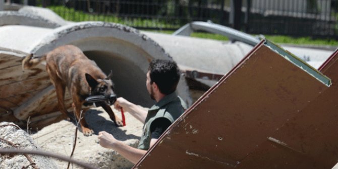 Canlı arama köpeği Una, afetlere böyle hazırlanıyor