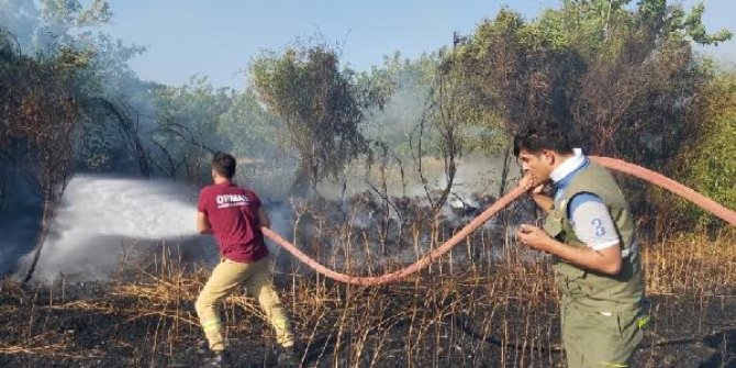 Datça'da alevler buğday ekili 13 dönüm alanı küle çevirdi