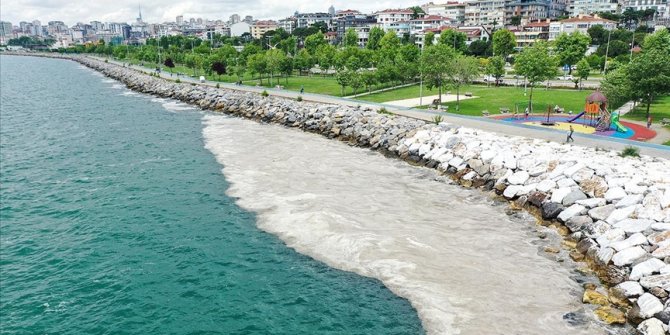 Deniz salyası Anadolu Yakası'nda bazı bölgelerde görülmeye devam ediyor