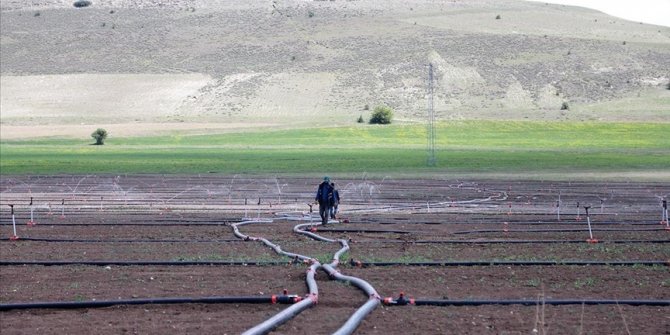 Yıl sonuna kadar 402 su ve sulama yatırımının tamamlanması hedefleniyor