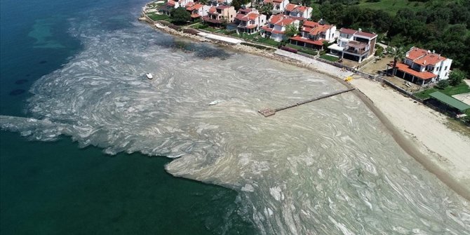 Bakan Kurum'dan önemli deniz salyası açıklaması