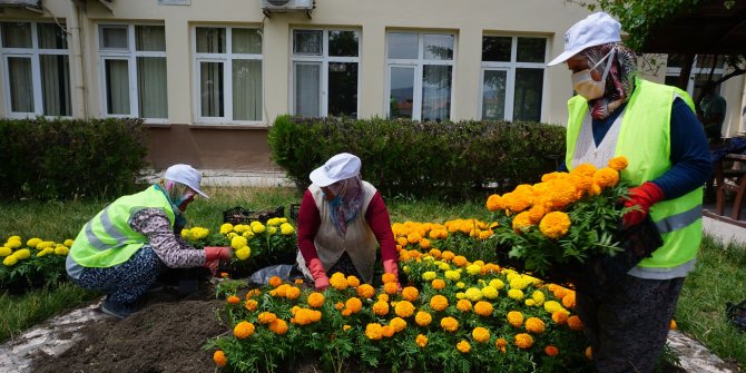 Seralarda yetişen çiçekler toprakla buluşuyor