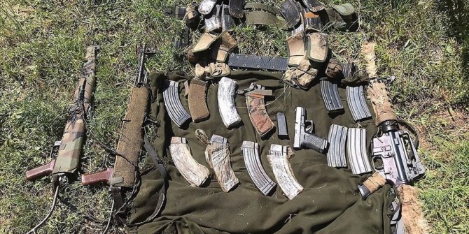 Bitlis'te etkisiz hale getirilen 3 PKK'lı teröristten birinin gri kategoride arandığı belirlendi