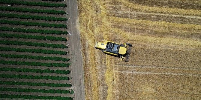 Tarım sektöründen tarihinin en yüksek ocak-mayıs ihracatı