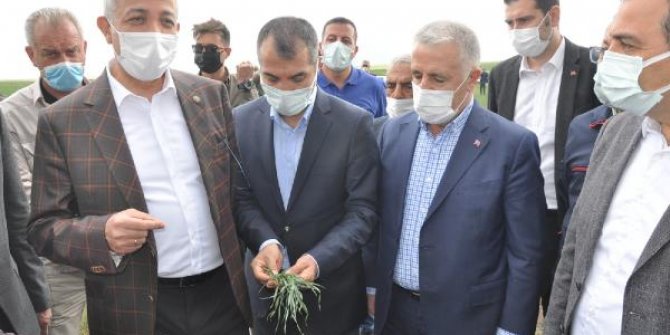 Tarım ve Orman Bakanlığı heyeti, kuruyan arazileri inceledi