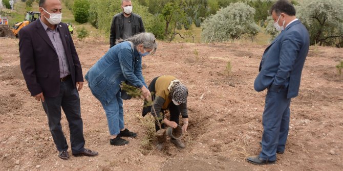 Kas hastaları için hatıra ormanı