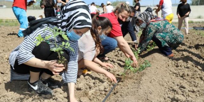 Sporcular ihtiyaç sahipleri için sebze yetiştiriyor