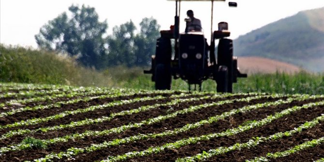 Türkiye artık tohum üreten ve ihraç eden ülke konumuna geldi