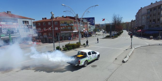 Haşere ve kötü kokuyla mücadele sürüyor