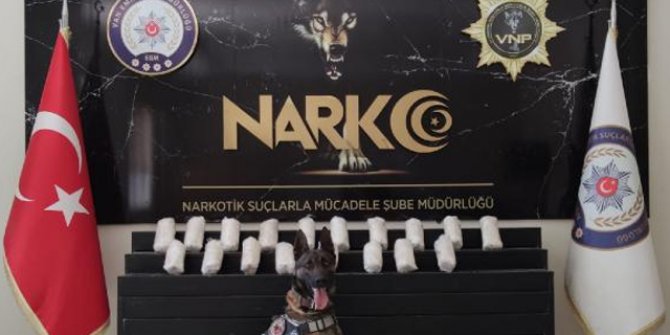 Otomobildeki 10 kilo uyuşturucuyu 'Bobi' buldu