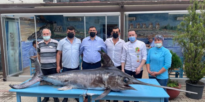 Saros Körfezi’nde yakalanan dev kılıç balığı ilgi gördü