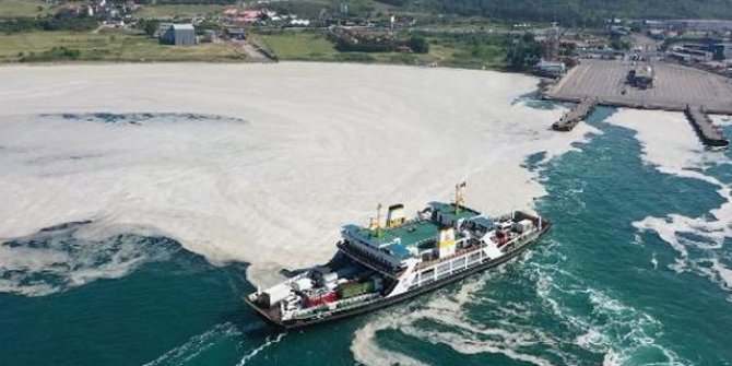 Yalova'da deniz yeniden müsilajla kaplandı 