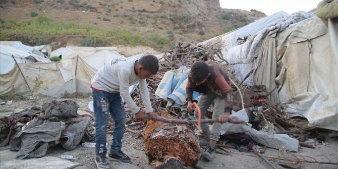 Çocuk işçiliği etkin mücadele sonucu önemli oranda düştü